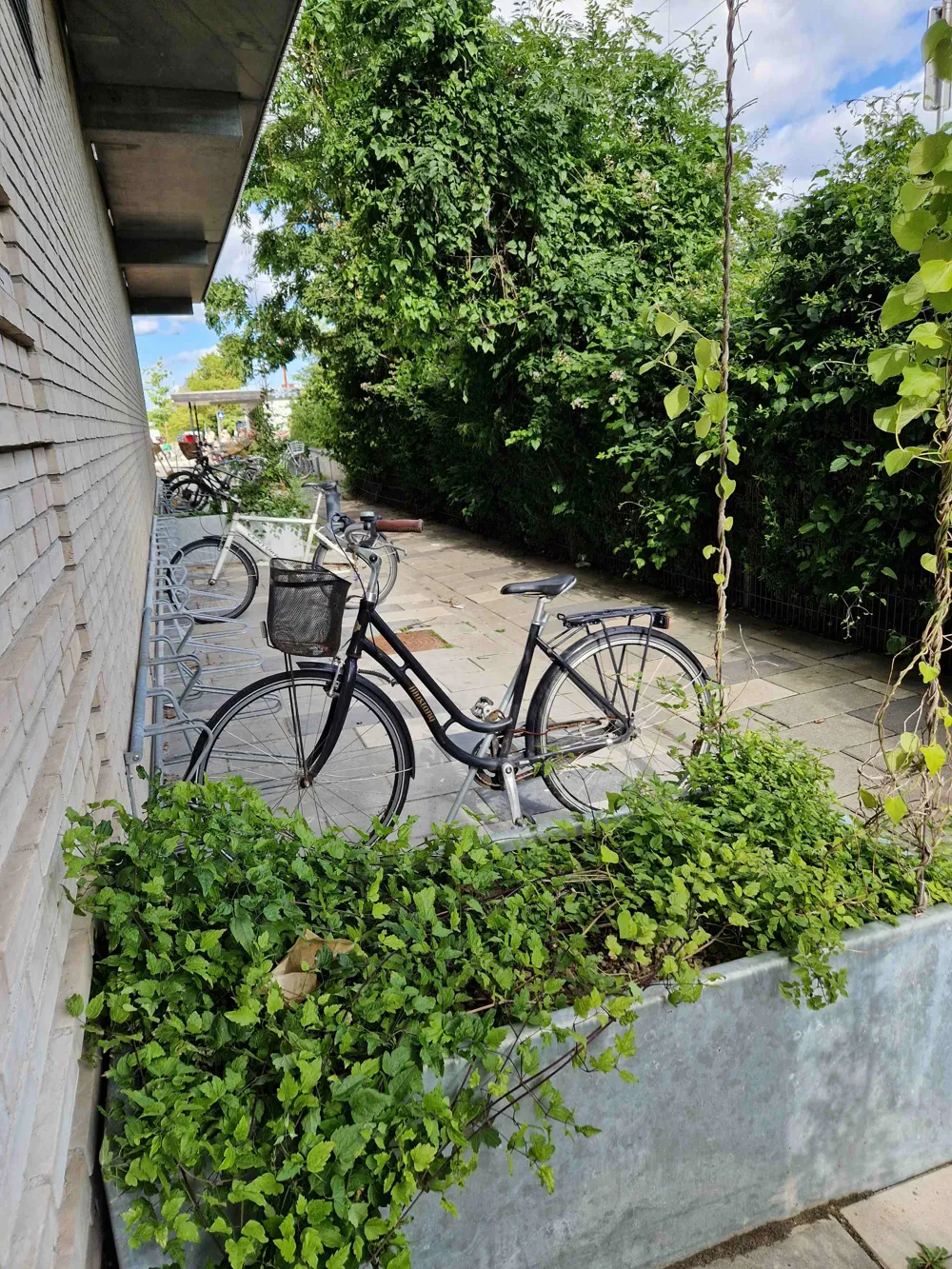 Lejemål billede