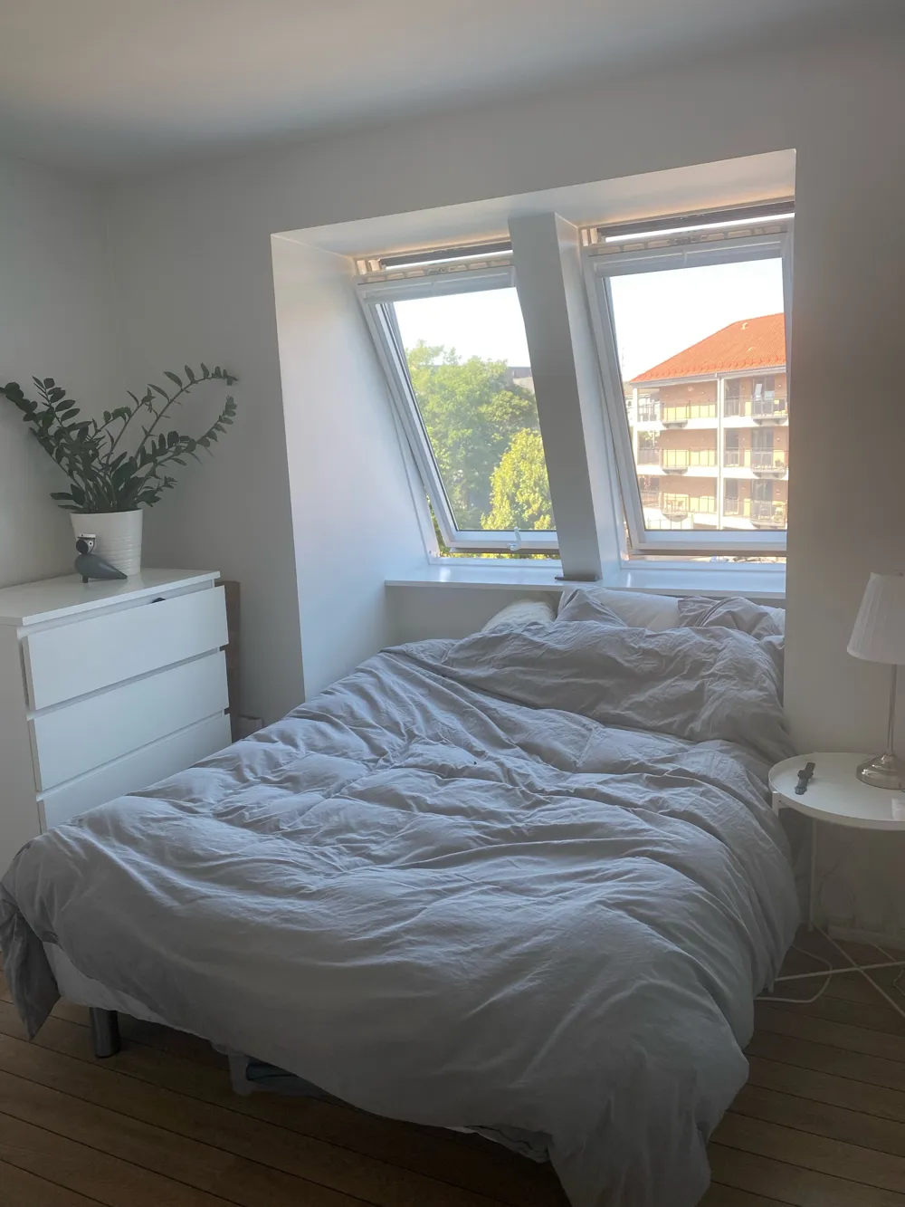 Lejemål billede
